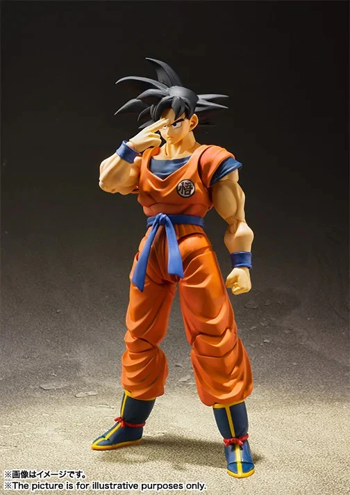 Goku Saiyan Raised on Earth S.H.Figuarts - Image 4